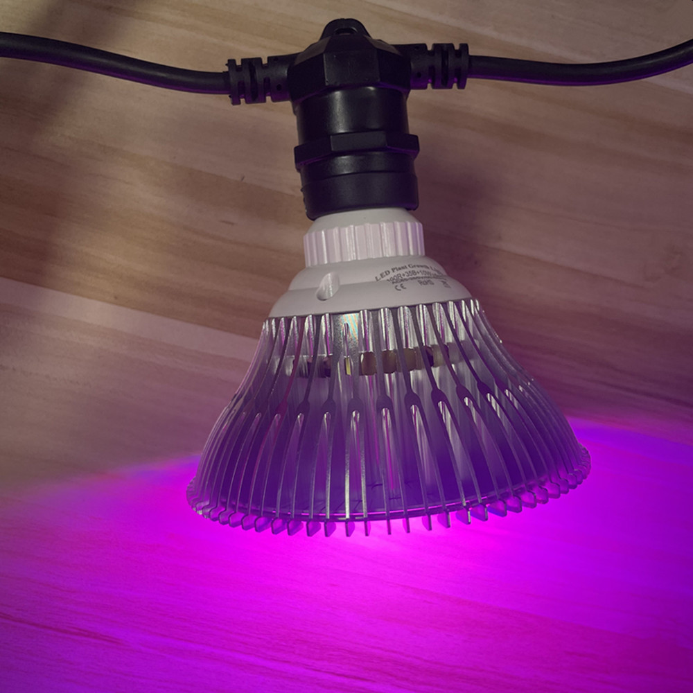 10 メートルケーブル LED ストリング商用グレード防水  - Outdoor Lighting In Ground のレビューと価格